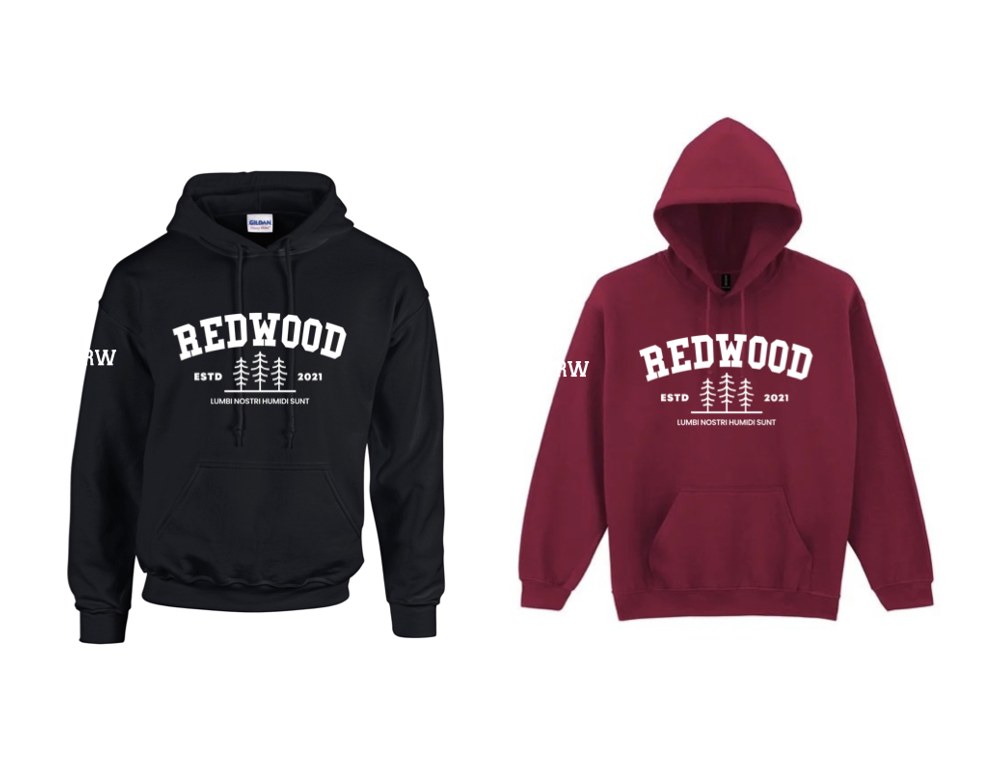 Alt Hoodie
