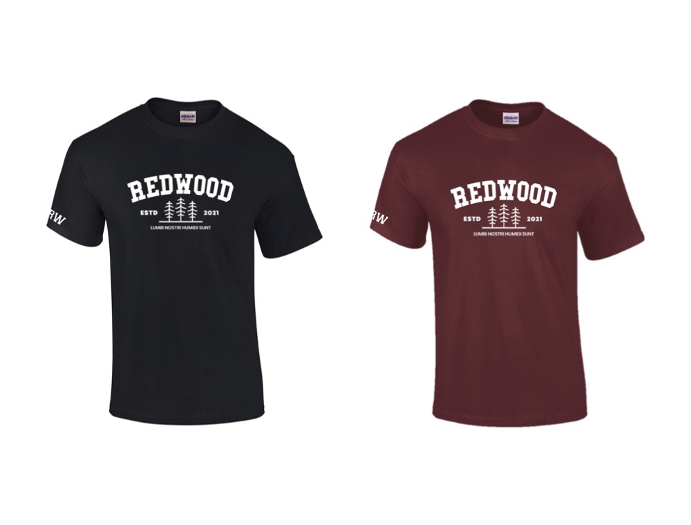 Alt T-Shirt