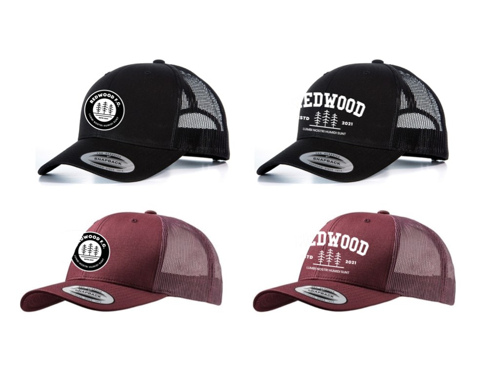 Baseball Hat 1