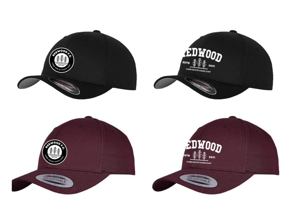 Baseball Hat 2